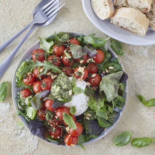 Recept voor Burratatomatensalade met pesto en eikenbladsla Colruyt